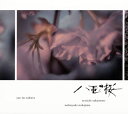 【国内盤CD】【新品】NHK大河ドラマ「八重の桜」オリジナル・サウンドトラック2 / 坂本龍一・中島ノブユキ