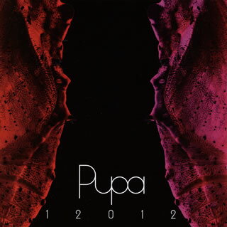 【国内盤CD】12012 ／ Pupa 2007〜2010 [CD+DVD][2枚組]