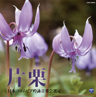 �ڹ�����CD�ۡڿ��ʡ�ʿ����ϻǯ��(��޽���)���ܥ�����ӥ������ӥ��󥯡��� �����CD �ҷ�