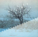 【国内盤CD】【新品】Chihei Hatakeyama / Winter Storm