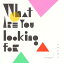 ڹCDۥϥʥ쥰  What are you looking for