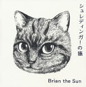 yCDzBrian the Sun ^ VfBK[̔L