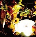 【国内盤CD】【新品】山本精一 / palm