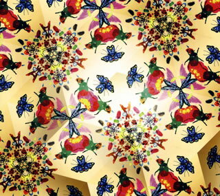 【国内盤CD】【新品】FLOWER FLOWER ／ 宝物[2枚組][初回出荷限定盤(初回生産限定盤)]