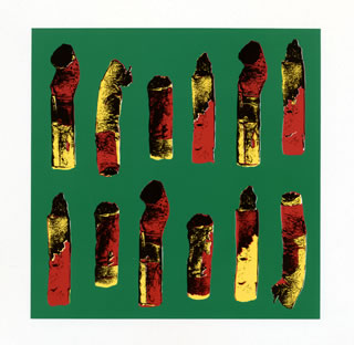 【国内盤CD】【新品】ザ・タイマーズ ／ ザ・タイマーズ スペシャル・エディション [CD+DVD][3枚組]