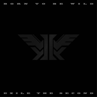 【国内盤CD】EXILE THE SECOND ／ BORN TO BE WILD [CD+DVD][4枚組]