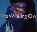 【国内盤CD】The Winking Owl ／ Into Another World