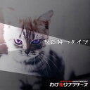 【国内盤CD】【新品】わけありブラザーズ / 根に持つタイプ