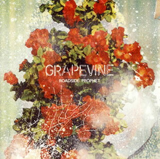 【国内盤CD】GRAPEVINE ／ ROADSIDE PROPHET