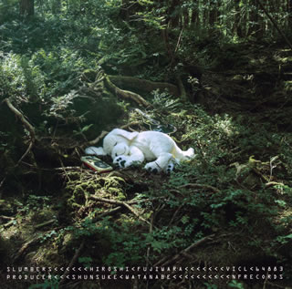  ������CD  �V�i HIROSHI FUJIWARA   SLUMBERS