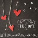 【国内盤CD】決定盤 恋するドラマ主題歌 TRUE LOVE[2枚組]