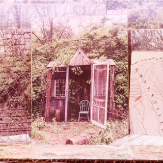 Rock, Pop - 【国内盤CD】【新品】マーカス・キング・バンド ／ カロライナ・コンフェッションズ