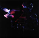【国内盤CD】【新品】ア・ストーム・オブ・ライト / アンスロシーン