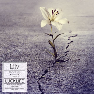 樂天商城 - 【国内盤CD】【新品】ラックライフ ／ Lily [CD+DVD][2枚組]