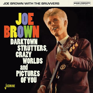 【国内盤CD】ジョー・ブラウン&ザ・ブルヴァーズ ／ ピクチャー・オブ・ユー コンプリート・コレクション 1959-1962