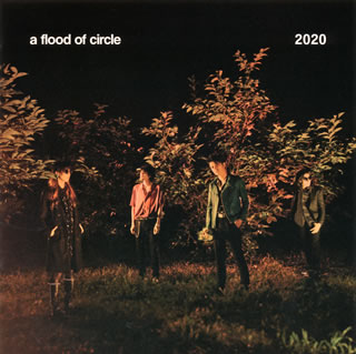 楽天市場】a flood of circle dvd（CD・DVD）の通販