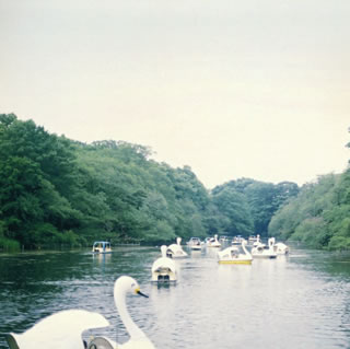 【国内盤CD】【新品】工藤祐次郎 ／ 残暑見舞い