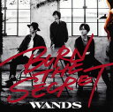 【国内盤CD】【新品】WANDS / BURN THE SECRET