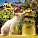 【国内盤CD】沖縄ユーモアソング決定盤[2枚組]