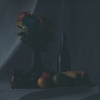 【国内盤CD】【新品】GRAPEVINE ／ 新しい果実