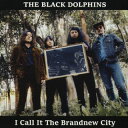 【国内盤CD】【新品】THE BLACK DOLPHINS / I Call It The Brandnew City