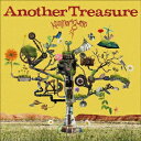 【国内盤CD】カミナリグモ ／ AnotherTreasure