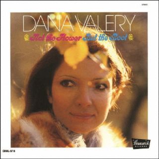 ڹCDۡڿʡۥʡ꡼  ΥåȡեХåȡ롼 +1