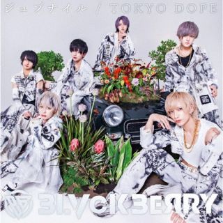 【国内盤CD】【新品】BLVCKBERRY / ジュブナイル / TOKYO DOPE