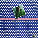 【国内盤CD】【新品】アン・バートン / サム・アザー・スプリング