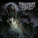【国内盤CD】【新品】FROZEN SOUL / GLACIAL DOMINATION【K2023/5/24発売】