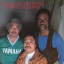 【国内盤CD】【新品】辛島文雄 / 風説(ア・チャイルド・イン・ザ・ウィンド)【J2023/6/7発売】