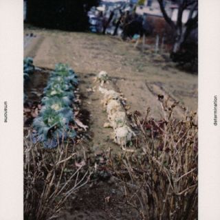 【国内盤CD】【新品】umanome ／ determination【J2023/6/21発売】