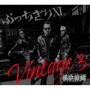 【国内盤CD】T.C.R.横浜銀蝿R.S. ／ ぶっちぎりXI Vintage 3 [CD+DVD][2枚組][初回出荷限定盤(初回限定盤)]【J2023/10/18発売】