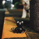 【国内盤CD】【新品】(夜と)SAMPO / モンスター【J2024/08/28発売】