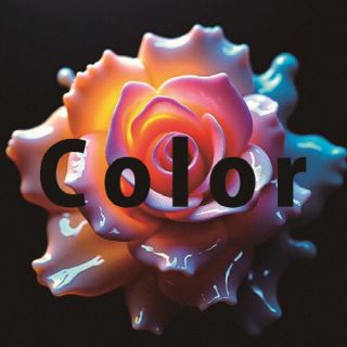 【国内盤CD】【新品】シンダーエラ ／ Color【J2024/09/17発売】