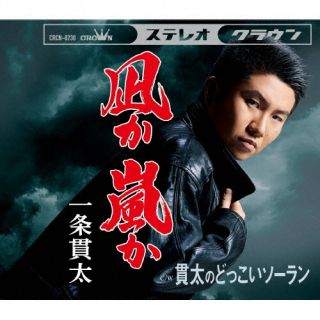 平成生まれで昭和なヴォイスを届ける千葉出身の男性演歌歌手、一条貫太の2025年2月発表のシングル。今回のテーマは"覚悟"で、「凪か 嵐か」「貫太のどっこいソーラン」の2曲を明るくハツラツと歌い上げている。【品番】　CRCN-8730【JAN】　4988007312899【発売日】　2025年02月19日【収録内容】(1)凪か 嵐か(2)貫太のどっこいソーラン(3)凪か 嵐か [オリジナル・カラオケ](4)貫太のどっこいソーラン [オリジナル・カラオケ](5)凪か 嵐か [一般用カラオケ(半音下げ)](6)貫太のどっこいソーラン [一般用カラオケ(半音下げ)]【関連キーワード】一条貫太|イチジョウカンタ|ナギカ・アラシカ・カンタノドッコイソーラン|ナギカ・アラシカ|カンタノドッコイソーラン|ナギカ・アラシカ|カンタノドッコイソーラン|ナギカ・アラシカ|カンタノドッコイソーラン