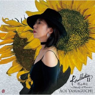山口葵 ／ Recollection II 花のおと