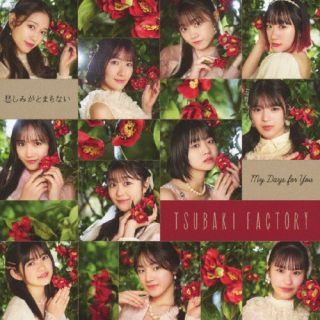 【品番】　EPCE-7930〜1【JAN】　4942463793050【発売日】　2025年06月04日【収録内容】［1］［2］〈Blu-ray〉【関連キーワード】つばきファクトリー|ツバキ・ファクトリー|