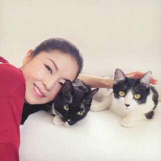 �ڹ�����CD�ۡڿ��ʡ�ƣ����� �� �����ȥ�̤���J2025/7/9ȯ���