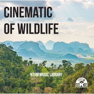 【国内盤CD】【新品】NTVM Music Library CINEMATIC OF WILDLIFE【J2025/6/25発売】
