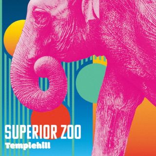 ڹCDۡڿʡtemplehill  SUPERIOR ZOOJ2025/9/26ȯ