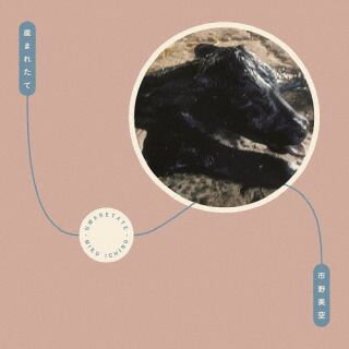 樂天商城 - 【国内盤CD】【新品】市野美空 ／ 産まれたて[初回出荷限定盤(数量限定盤)]【J2025/10/8発売】