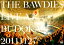 ڹDVDTHE BAWDIES  LIVE AT BUDOKAN 20111127