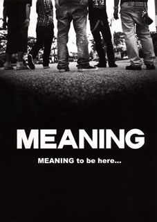 【国内盤DVD】MEANING ／ MEANING to be here...