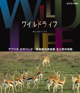 【メール便送料無料】ワイルドライフ アフリカ大サバンナ 草食獣対肉食獣 生と死の攻防（ブルーレイ）