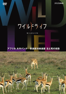 【メール便送料無料】ワイルドライフ アフリカ大サバンナ 草食獣対肉食獣 生と死の攻防(DVD)