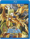 車田正美の代表的コミックをアニメ化した『聖闘士星矢』、2012年4月より放送のシリーズ。幼いころに星矢に命を救われた少年・光牙。聖闘士になるべく修業を積み重ねながら、さまざまな戦いに挑む。声の出演に緑川光、小西克幸ら。【品番】　BCXA-0582【JAN】　4934569355829【発売日】　2013年06月21日【収録内容】〈第41話〉時貞の野望!時間の果ての覇者!〈第42話〉裏切りの黄金聖闘士!イオニア対光牙!〈第43話〉軍神復活!突入，最後の宮!〈第44話〉仲間のために!光牙に秘められし力!【関連キーワード】ゆかな|塩屋浩三|関智一|吉田玲子|久川綾|古川登志夫|古谷徹|江川央生|榊原良子|山崎和佳奈|車田正美|小山茉美|小西克幸|小野坂昌也|松野太紀|神谷浩史|進藤尚美|諏訪部順一|水島裕|杉田智和|成田剣|成田良美|石田彰|折笠愛|草尾毅|速水奨|大友龍三郎|竹本英史|中原茂|鶴ひろみ|能登麻美子|飛田展男|矢尾一樹|緑川光|鈴木達央|檜山修之|市川慶一|馬越嘉彦|柴田秀勝|仲野裕|黒田崇矢|長峯達也|宮野真守|雪野五月|岡本寛志|中川翔子|柿原徹也|松原大典|畑野森生|高橋剛|暮田公平|ユカナ|シオヤ・コウゾウ|セキトモカズ|ヨシダレイコ|ヒサカワ・アヤ|フルカワトシオ|フルヤ・トオル|エガワヒサオ|サカキバラヨシコ|ヤマザキワカナ|クルマダマサミ|コヤママミ|コニシカツユキ|オノサカ・マサヤ|マツノタイキ|カミヤヒロシ|シンドウ・ナオミ|スワベジュンイチ|ミズシマユウ|スギタトモカズ|ナリタケン|ナリタヨシミ|イシダアキラ|オリカサ・アイ|クサオタケシ|ハヤミショウ|オオトモリュウザブロウ|タケモト・エイジ|ナカハラ・シゲル|ツルヒロミ|ノトマミコ|トビタノブオ|ヤオカズキ|ミドリカワヒカル|スズキタツヒサ|ヒヤマノブユキ|イチカワ・ケイイチ|ウマコシヨシヒコ|シバタヒデカツ|ナカノユタカ|クロダタカヤ|ナガミネタツヤ|ミヤノマモル|ユキノサツキ|オカモト・ヒロシ|ナカガワショウコ|カキハラテツヤ|マツバラ・ダイスケ|ハタノモリオ|タカハシツヨシ|クレタコウヘイ|セイントセイヤ・オメガ・11|トキサダノ・ヤボウ・ジカンノ・ハテノ・ハシャ|ウラギリノ・ゴールド・セイント・イオニア・タイ・コウガ|グンシン・フッカツ・トツニュウ・サイゴノ・キュウ|ナカマノ・タメニ・コウガニ・ヒメラレシ・チカラ