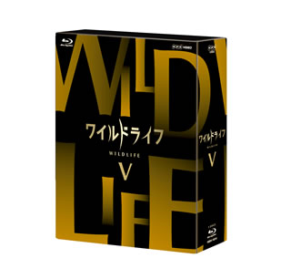 NHK BSプレミアムにて放送された本格自然番組をパッケージするシリーズの第5弾。ニューギニア島、ボルネオ島の珍しい鳥たちやボルネオ島に生息する両生類など、"飛行生物"のさまざまな姿に迫る。【品番】　NSBX-18318【JAN】　4988066193231【発売日】　2013年06月21日【収録内容】［1］密林に飛行生物の謎を追う ボルネオ［2］幻の鳥 炎の舞に迫る ニューギニア島［3］東南アジア ボルネオ 華麗!巧妙!鳥たちの空中ハンティング【関連キーワード】ワイルド・ライフ・ブルーレイ・ボックス・5|ミツリンニ・ヒコウ・セイブツノ・ナゾヲ・オウ・ボルネオ|マボロシノ・トリ・ホノオノ・マイニ・セマル・ニューギニアトウ|トウナン・アジア・ボルネオ・カレイ・コウミョウ・トリタチノ・クウチュウ・ハンティング