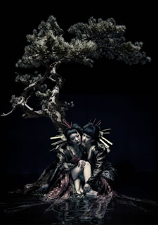 �ڹ�����DVD�ۡڿ��ʡ�the GazettE �� LIVE TOUR 12-13��DIVISION��FINAL MELT LIVE AT 03.10 SAIT...