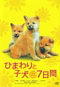 【国内盤DVD】【新品】ひまわりと子犬の7日間